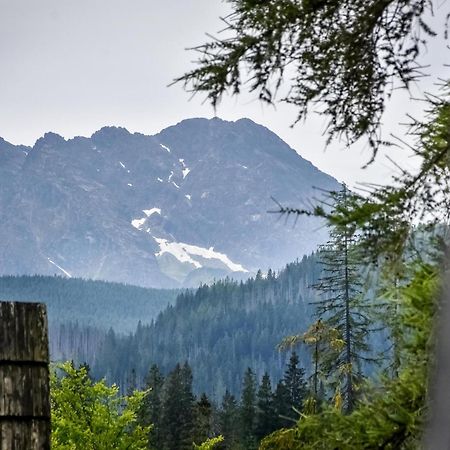 Za Gorami Za Lasami Zakopane Esterno foto