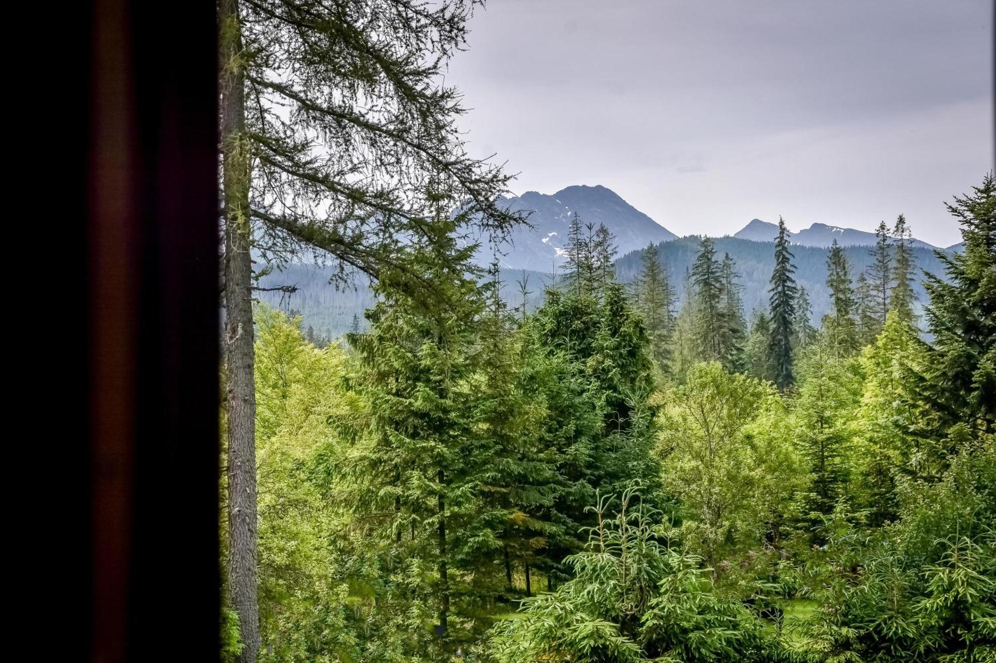 Za Gorami Za Lasami Zakopane Esterno foto